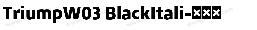 TriumpW03 BlackItali字体转换